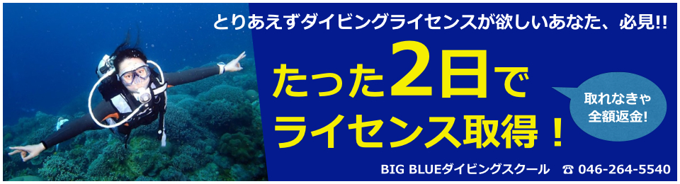 スキューバダイビングライセンス取得