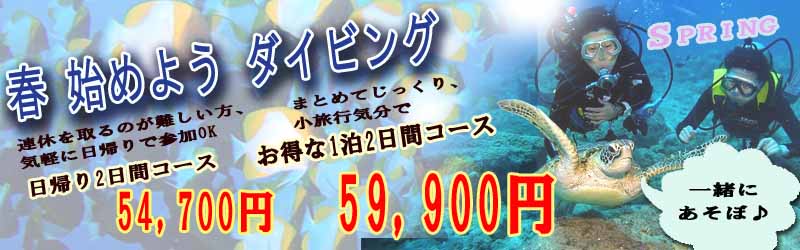 �ɓ� �_�C�r���O ���C�Z���X �u�K�E�H�̓��ʉ��i �_�ސ�E����������A��2���ԃR�[�X�F54,700�~