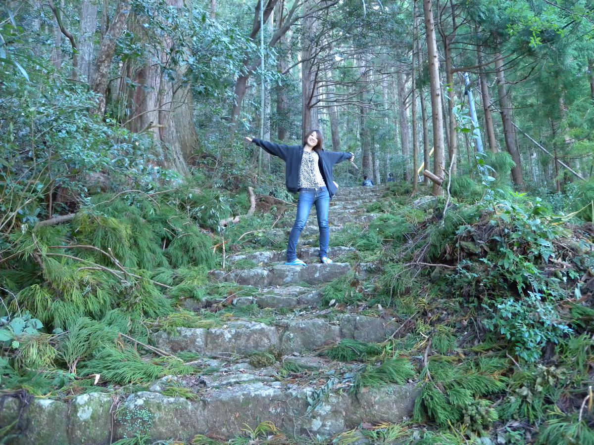 ダイビング ライセンスツアーの写真【和歌山県白浜】の写真 16
