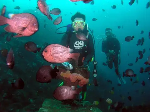 フィリピンミンドロ島・年越しダイブツアーの写真 3
