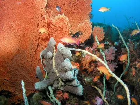 極寒の大瀬に春の海の息吹・ツアーフォトグラフの写真 8