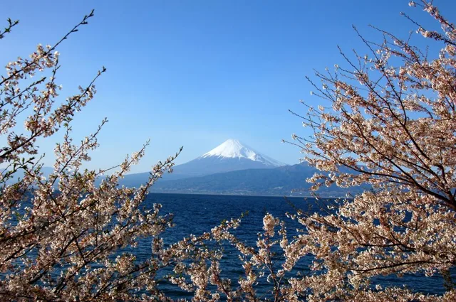 海岸アート教室風景の写真 17