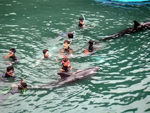 富戸～海中公園ドルフィンツアーの写真 13