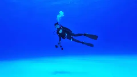 ダイビング（真っ白いサンゴの砂）の写真
