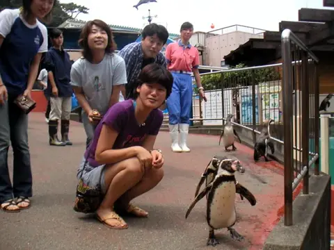 富戸～海中公園ドルフィンツアーの写真 2