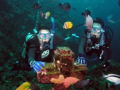 フィリピンミンドロ島・年越しダイブツアーの写真 4