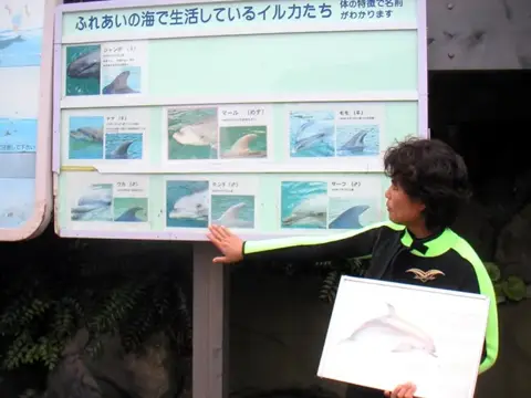 富戸～海中公園ドルフィンツアーの写真 6