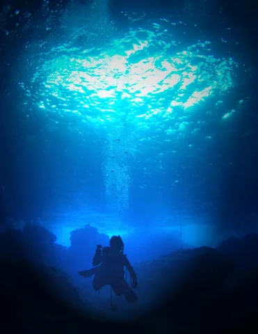 サイパン･水中写真の写真 25
