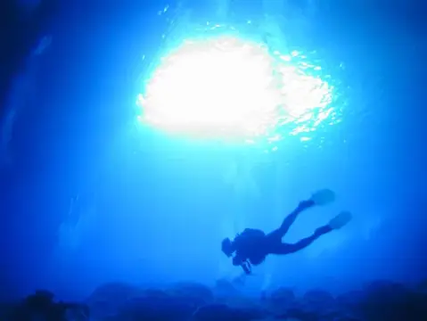 SAIPAN
ツアーフォトグラフの写真 38