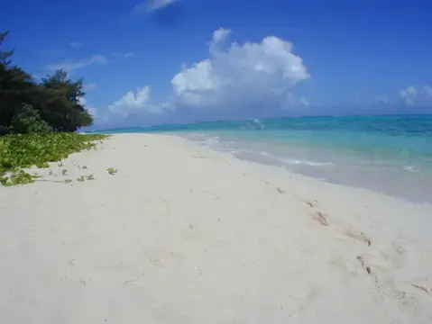 SAIPAN
ツアーフォトグラフの写真 27