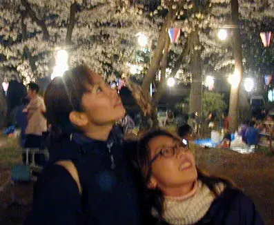 2000年春夜桜の写真 4