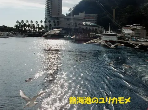 2月初島・3月三浦半島逗子ツアーの写真 1