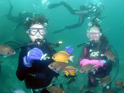 秋の海・大瀬の写真 7
