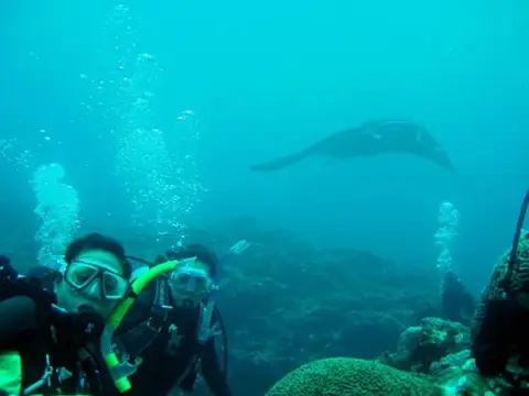 石垣島・マンタ・ツアーの写真 13