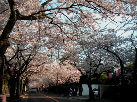 伊豆海洋公園ダイブツアーの写真 9