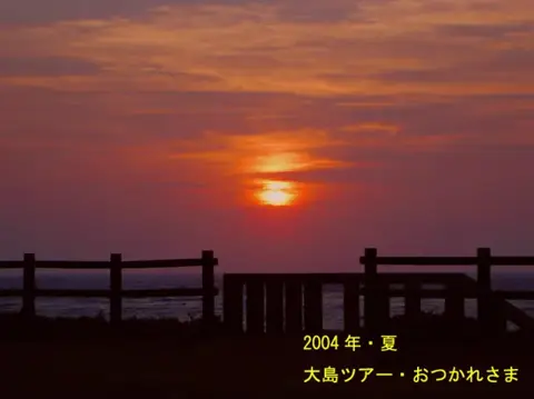 串本ダイビング・ドルフィンツアーの写真 19