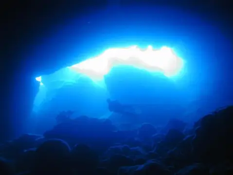 SAIPAN
ツアーフォトグラフの写真 35