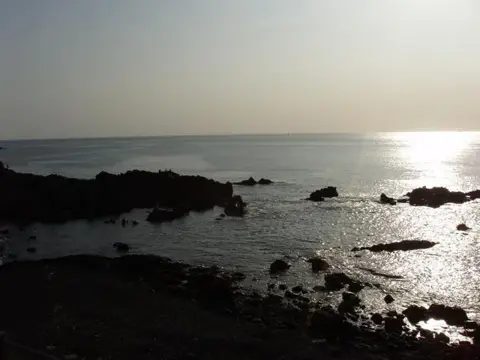 GW大島ダイビングツアー（陸上編）の写真 23