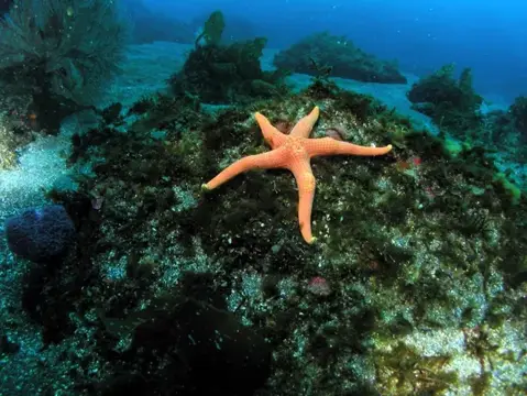 極寒の大瀬に春の海の息吹・ツアーフォトグラフの写真 6