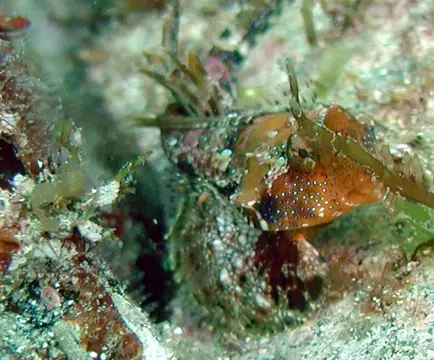 2003年5月ゴールデンウイークの写真 32