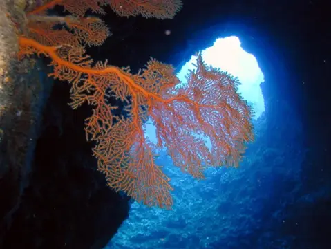 SAIPAN
ツアーフォトグラフの写真 13