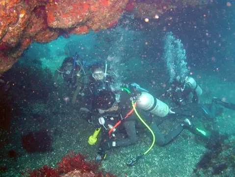 沖縄・渡嘉敷島ツアーフォトグラフの写真 18