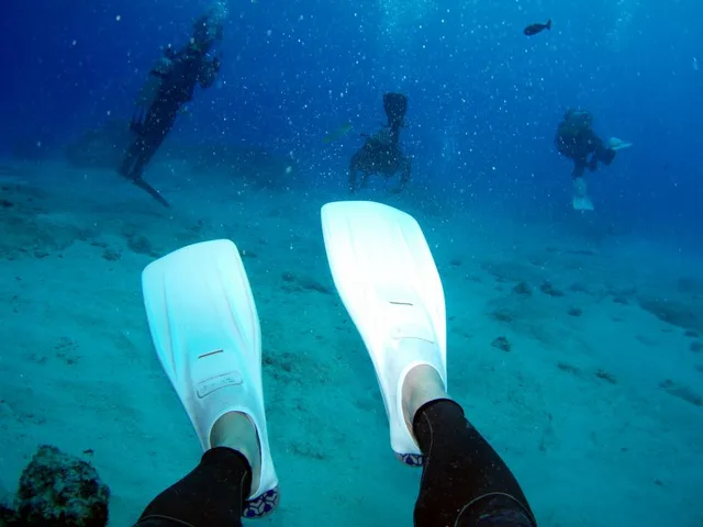 サイパン･水中写真の写真 35