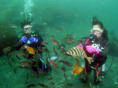 秋の海・大瀬の写真 8