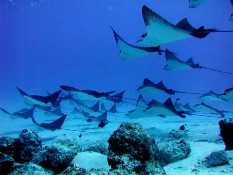 SAIPAN
ツアーフォトグラフの写真 4