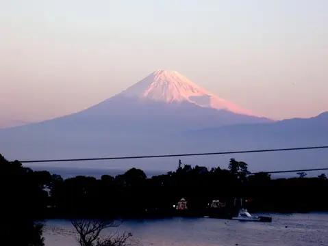 田子～大瀬崎仙台合同ツアーフォトグラフの写真 16