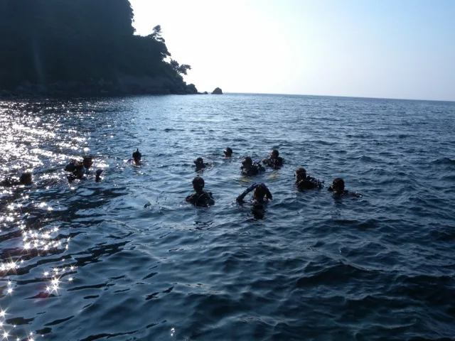 ダイビングライセンス取得ツアーとファンダイビングin 大島