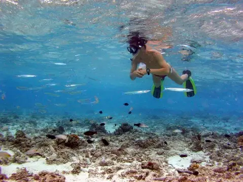 SAIPAN
ツアーフォトグラフの写真 29
