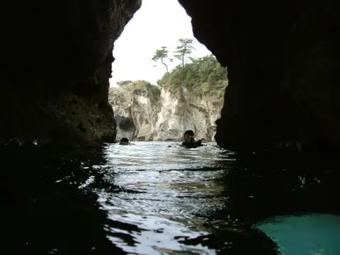 浮島ダイビングツアーの写真 14
