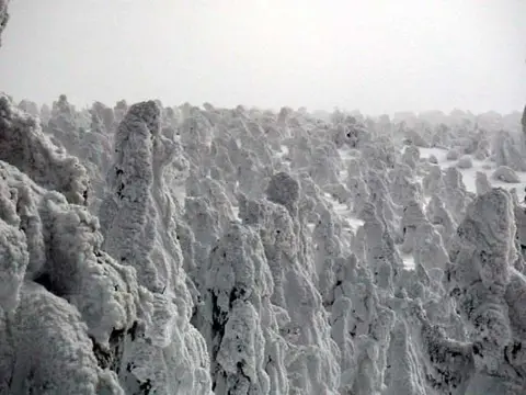 八幡野・大瀬崎の写真 9