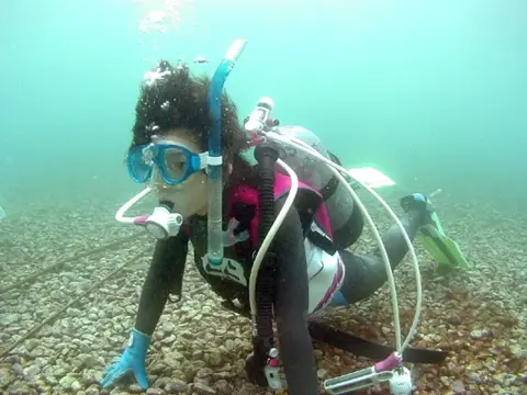 秋の海・大瀬の写真 3