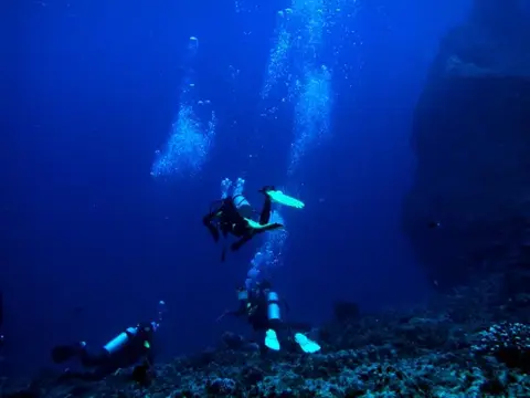 SAIPAN
ツアーフォトグラフの写真 21
