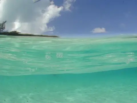 SAIPAN
ツアーフォトグラフの写真 32