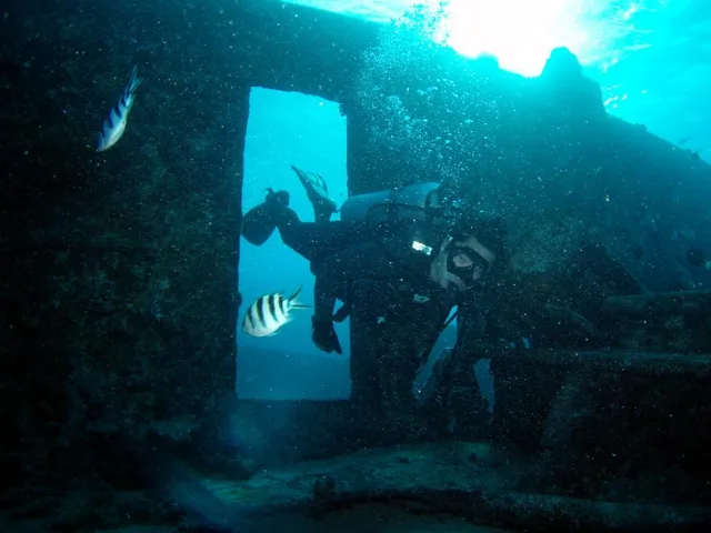 サイパン･水中写真の写真 16