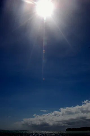 パラオダイビングツアー(陸上編）の写真 33