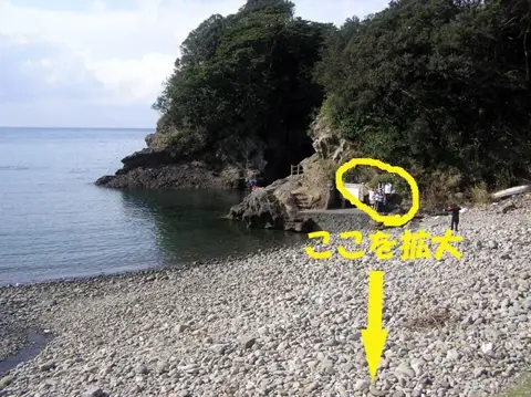 浮島ダイビングツアーの写真 1
