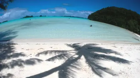 パラオの海の丸い水平線