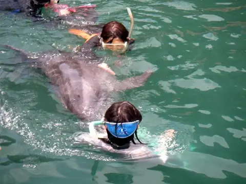 富戸～海中公園ドルフィンツアーの写真 8