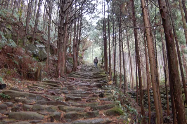 2005年年越ツアー(陸上編)の写真 48