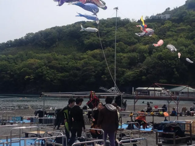 海辺の空を泳ぐ鯉のぼり（2012-2013年）