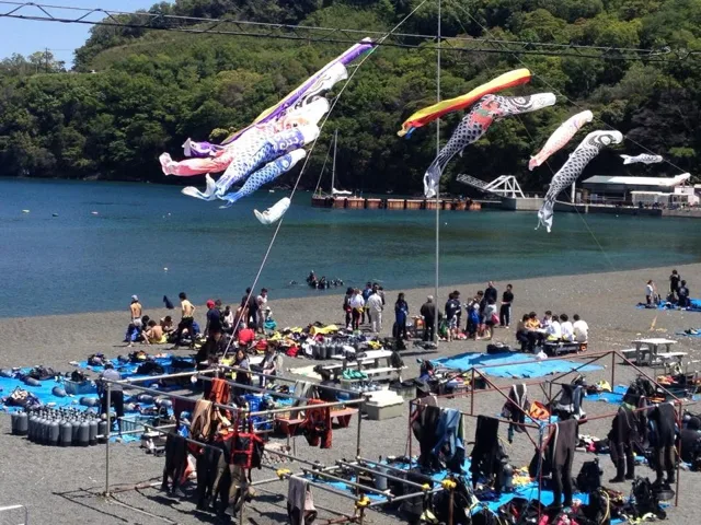 海辺に掲げられた鯉のぼりと参加者（2012-2013年）