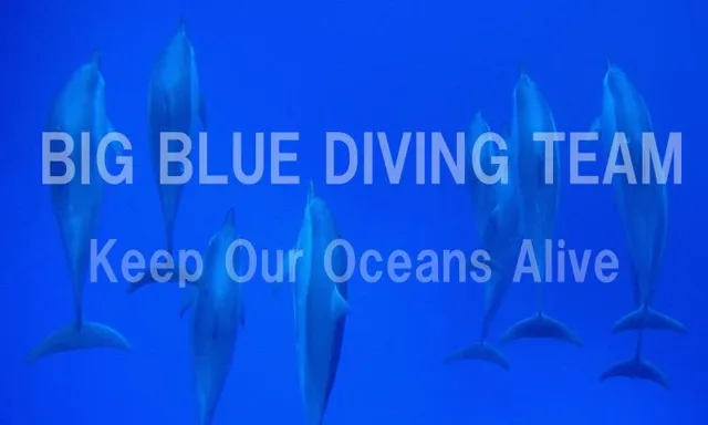 水中のダイバーに文字を重ねたBIG BLUEの写真