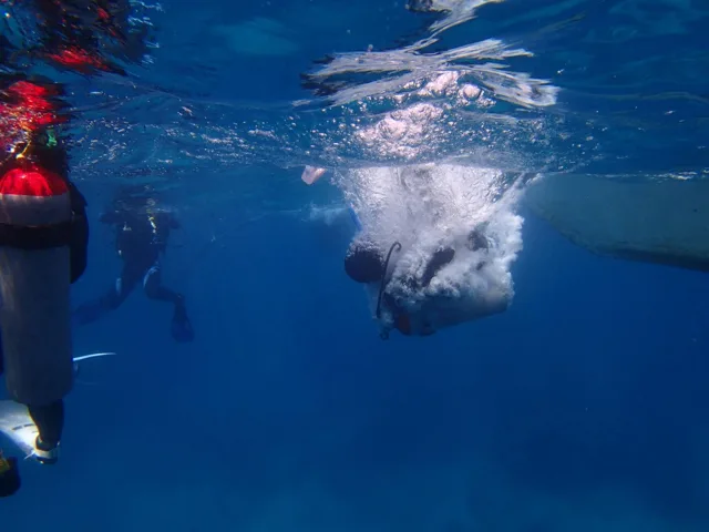 水面近くで潜るダイバー