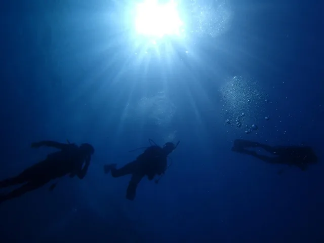 水中や海辺で撮影したダイビングの記録
