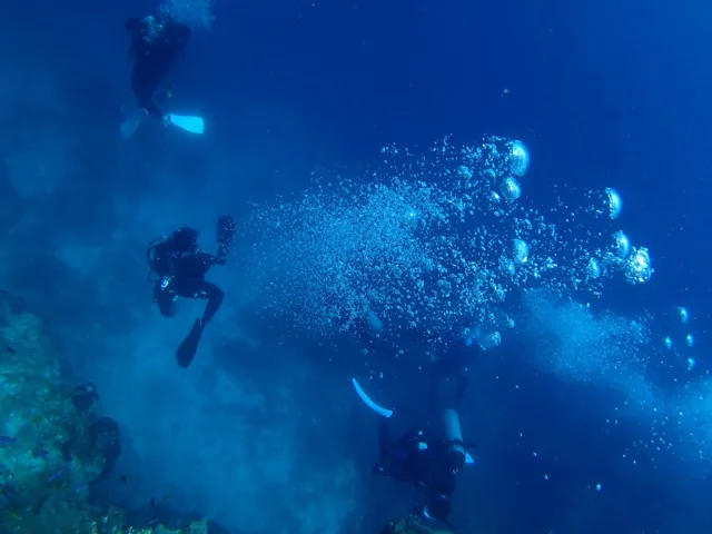 水中を泳ぐダイバーのグループ