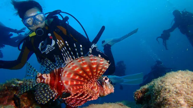 海神丸での水中の魚とダイバー